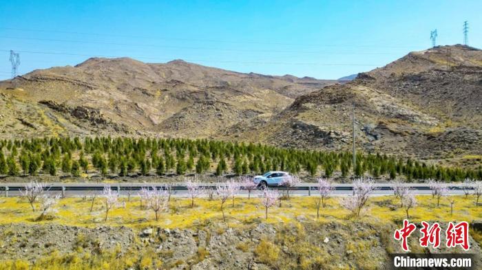 生態(tài)修復(fù)后逐漸變綠的賀蘭山石嘴山段?！∈焐绞形麄鞑抗﹫D