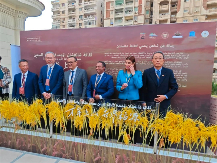 圖為現(xiàn)場嘉賓為特展啟幕。開羅中國文化中心供圖