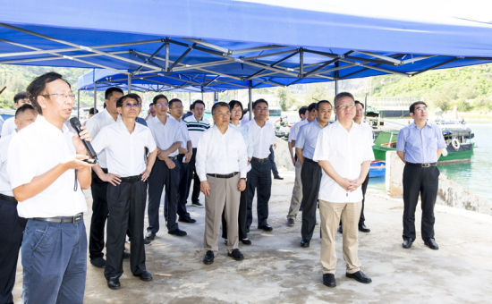 2019年6月21日上午，省長沈曉明率省政府班子成員在三亞鐵爐港調(diào)研項目規(guī)劃建設情況。海南日報記者 宋國強 攝