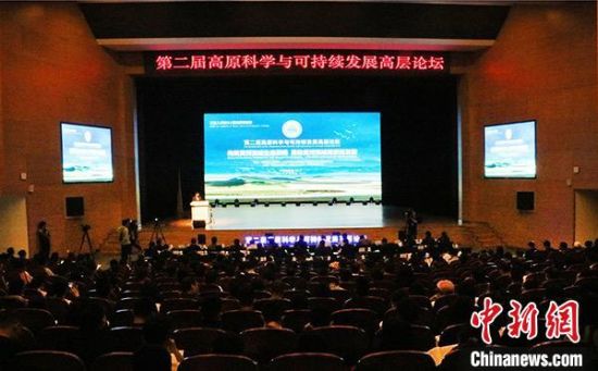 圖為論壇現(xiàn)場。　孫?！z