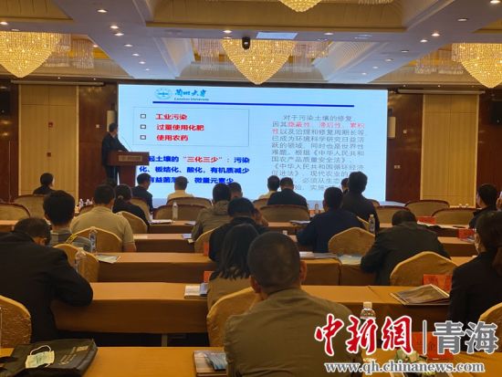 圖為論壇現(xiàn)場。李江寧攝