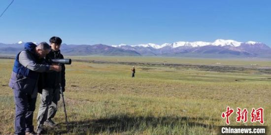 圖為工作人員正在進(jìn)行黑頸鶴衛(wèi)星跟蹤和環(huán)志工作?！∑钸B山國(guó)家公園青海省管理局供圖 攝