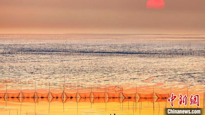 江蘇鹽城被譽(yù)為金灘銀蕩、魚米之鄉(xiāng)?！←}城市委宣傳部供圖