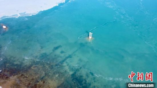 圖為冬日青海湖?！±罱瓕帯z