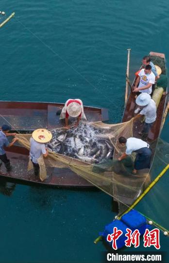 捕魚現(xiàn)場。　主辦方供圖