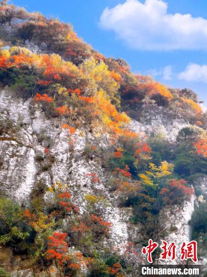 彩林色彩斑斕?！≈炱桨?攝