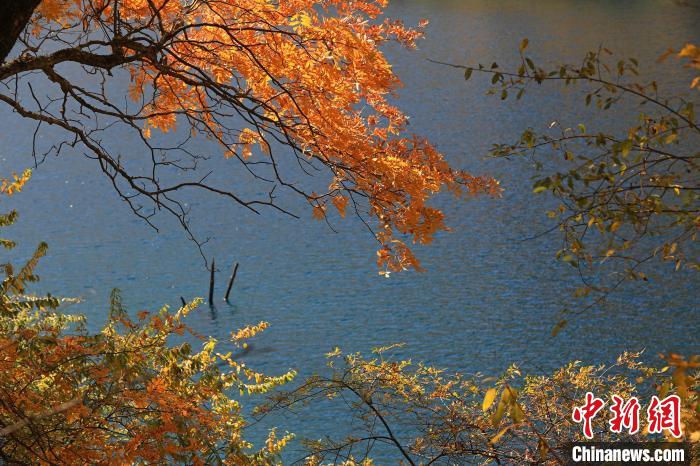 松坪溝風(fēng)光。　劉通 攝