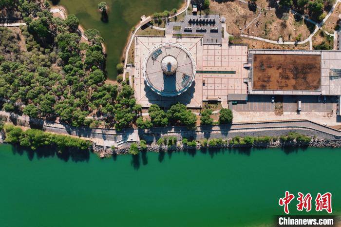 航拍青海貴德黃河岸畔綠意濃濃?！≮w凜松 攝