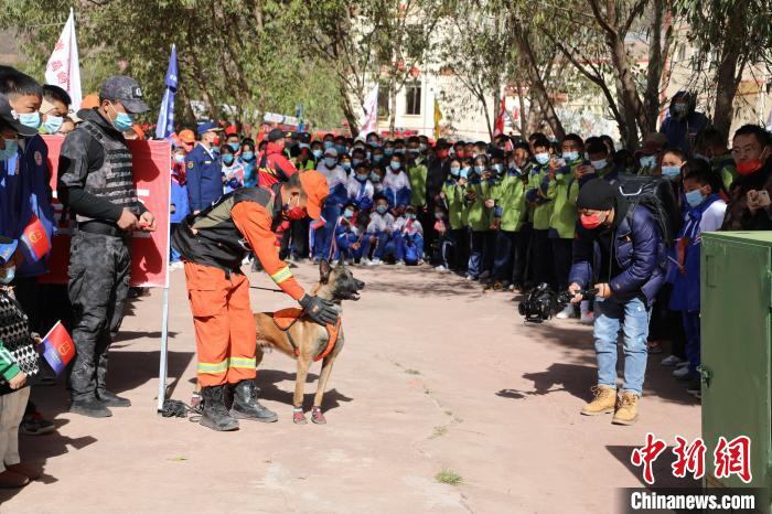 圖為搜救犬服從和箱體搜救演練。　趙琳 攝