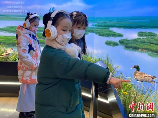 圖為學(xué)生在西寧市第一中學(xué)濕地科普宣教館內(nèi)參觀?！±罱瓕?攝