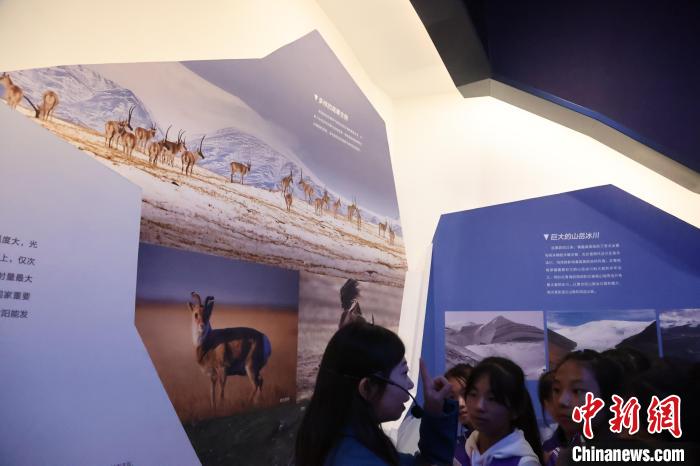 全國科普日:青海高原青少年探秘“地球密碼”