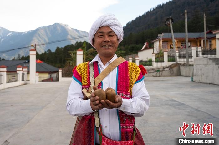 1月29日，京都村委會主任阿胖正在展示該村種植的獼猴桃。<a target='_blank' ><p  align=