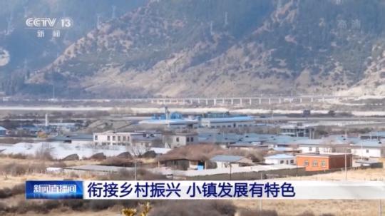 種蘑菇、養(yǎng)駱駝...。。特色產(chǎn)業(yè)助力鄉(xiāng)村振興走新路