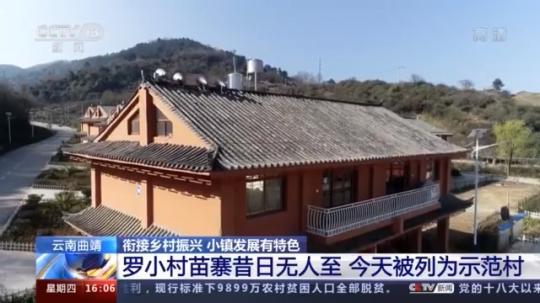 種蘑菇、養(yǎng)駱駝...。。特色產(chǎn)業(yè)助力鄉(xiāng)村振興走新路