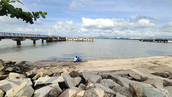 深圳紅樹林灘涂，留給了孩子們親近自然的空間。人民網(wǎng)記者 李彤攝