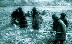 農(nóng)奴被強(qiáng)迫從事無(wú)償勞動(dòng)